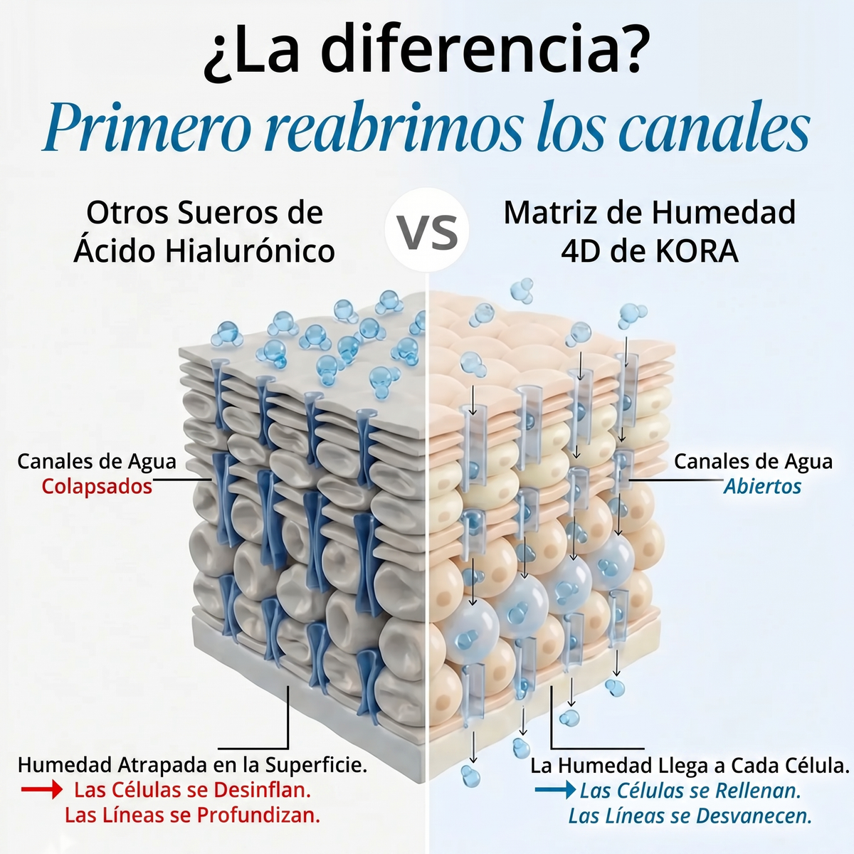 Serum Ultra Hidratante-Reparador con 3% de Ácido Hialurónico